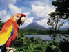 Costa Rica Animal Images pic 3