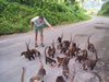 Costa Rica Animal Images pic 6
