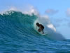 Costa Rica Aquatic Images pic 1