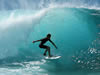 Costa Rica Aquatic Images pic 3