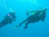 Costa Rica Aquatic Images pic 6