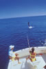 Costa Rica Aquatic Images pic 7