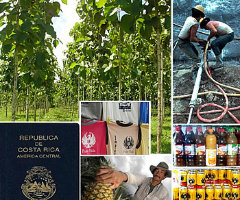 Costa Rica business directory categories
