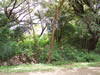 Costa Rica Landscape Images pic 101