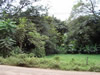 Costa Rica Landscape Images pic 103