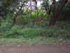 Costa Rica Landscape Images pic 107