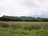 Costa Rica Landscape Images pic 110