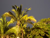 Costa Rica Landscape Images pic 114
