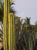Costa Rica Landscape Images pic 117