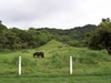 Costa Rica Landscape Images pic 123