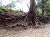 Costa Rica Landscape Images pic 13