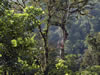 Costa Rica Landscape Images pic 14
