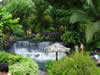 Costa Rica Landscape Images pic 3