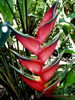 Costa Rica Landscape Images pic 45
