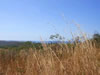 Costa Rica Landscape Images pic 55