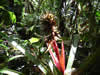 Costa Rica Landscape Images pic 68
