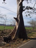 Costa Rica Landscape Images pic 78