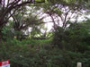Costa Rica Landscape Images pic 95