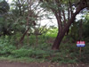 Costa Rica Landscape Images pic 99