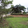 The Americal pic 12