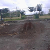 The Americal pic 19