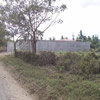 The Americal pic 24