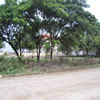 The Americal pic 3