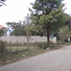 The Americal pic 32