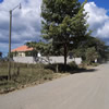 The Americal pic 39